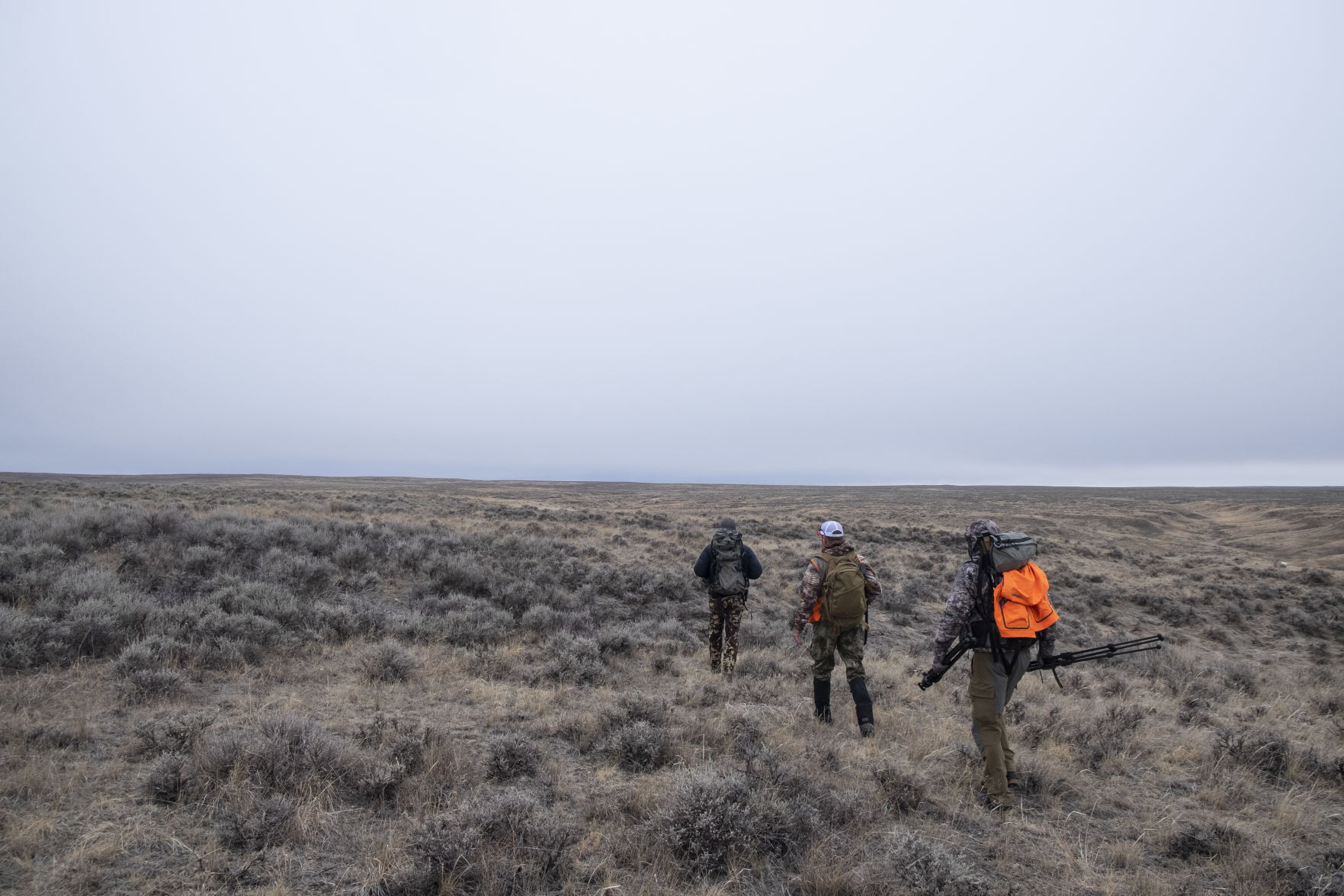 APR Bison Harvest